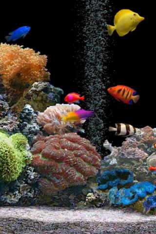 Скриншот 3D аквариум живые обои HD / 3D aquarium live wallpaper HD для Android