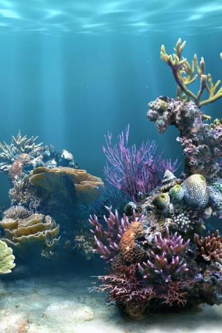 Скриншот 3D аквариум живые обои HD / 3D aquarium live wallpaper HD для Android