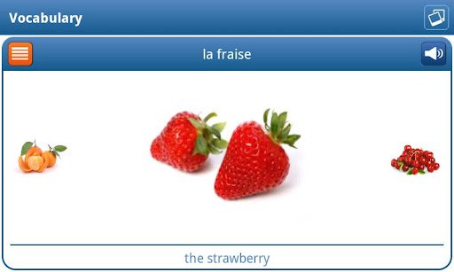 Скриншот Изучай французский язык! для Android