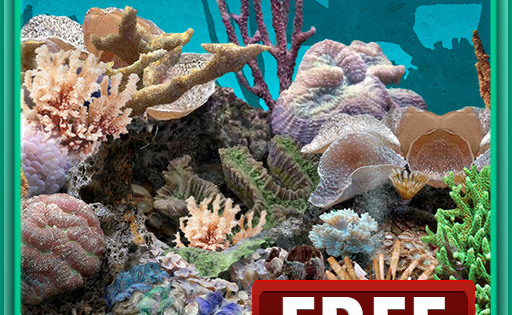 3D аквариум живые обои HD / 3D aquarium live wallpaper HD