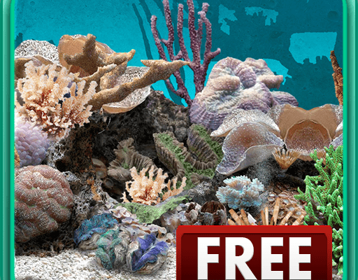 3D аквариум живые обои HD / 3D aquarium live wallpaper HD