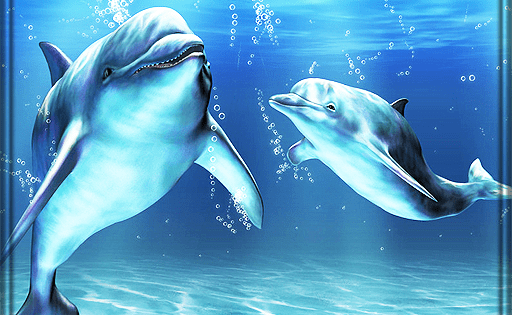 3D дельфины HD Live Wallpaper