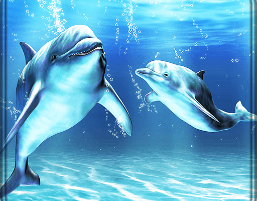 3D дельфины HD Live Wallpaper