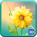 3D Цветы Живые Обои