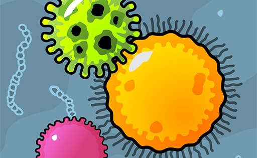 Bacteria World: Agar