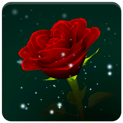 Enchanted Rose