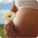 Календарь беременности