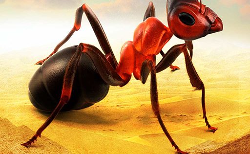 Little Ant Colony Idle для Андроид скачать бесплатно