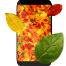 Осенние листья 3D
