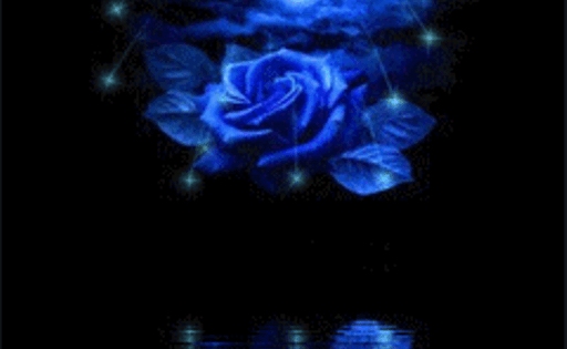 Роза отражается в воде / Rose Reflected In Water