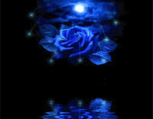 Роза отражается в воде / Rose Reflected In Water