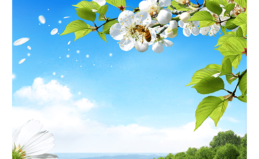 Весна живые обои / Spring Live Wallpaper