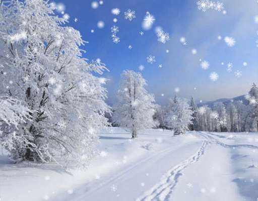 Зима Снег Live Wallpaper